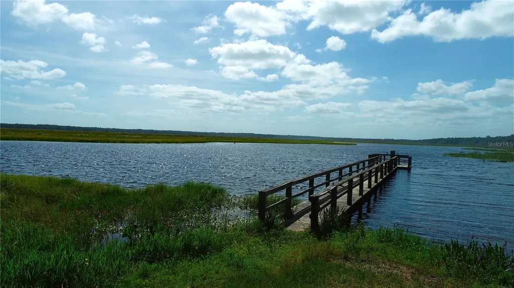 15305 NW Highway 320 Micanopy FL 32667