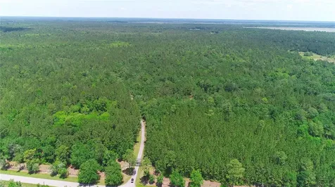 15305 NW Highway 320 Micanopy FL 32667