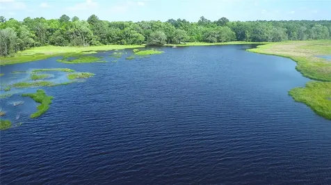 15305 NW Highway 320 Micanopy FL 32667