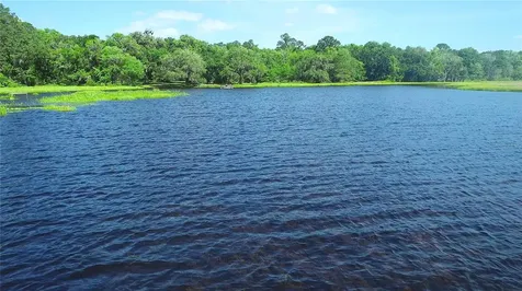 15305 NW Highway 320 Micanopy FL 32667