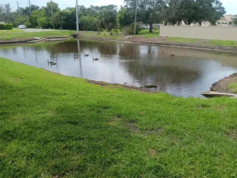 4154 Center Pointe Circle Sarasota FL 34233