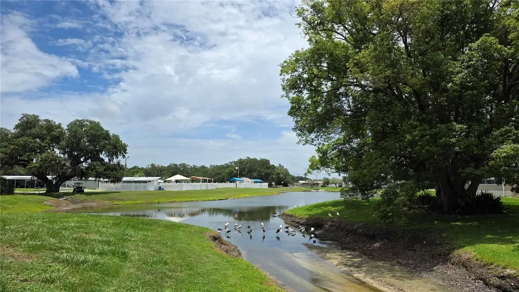 36740 Strand Drive Zephyrhills FL 33542