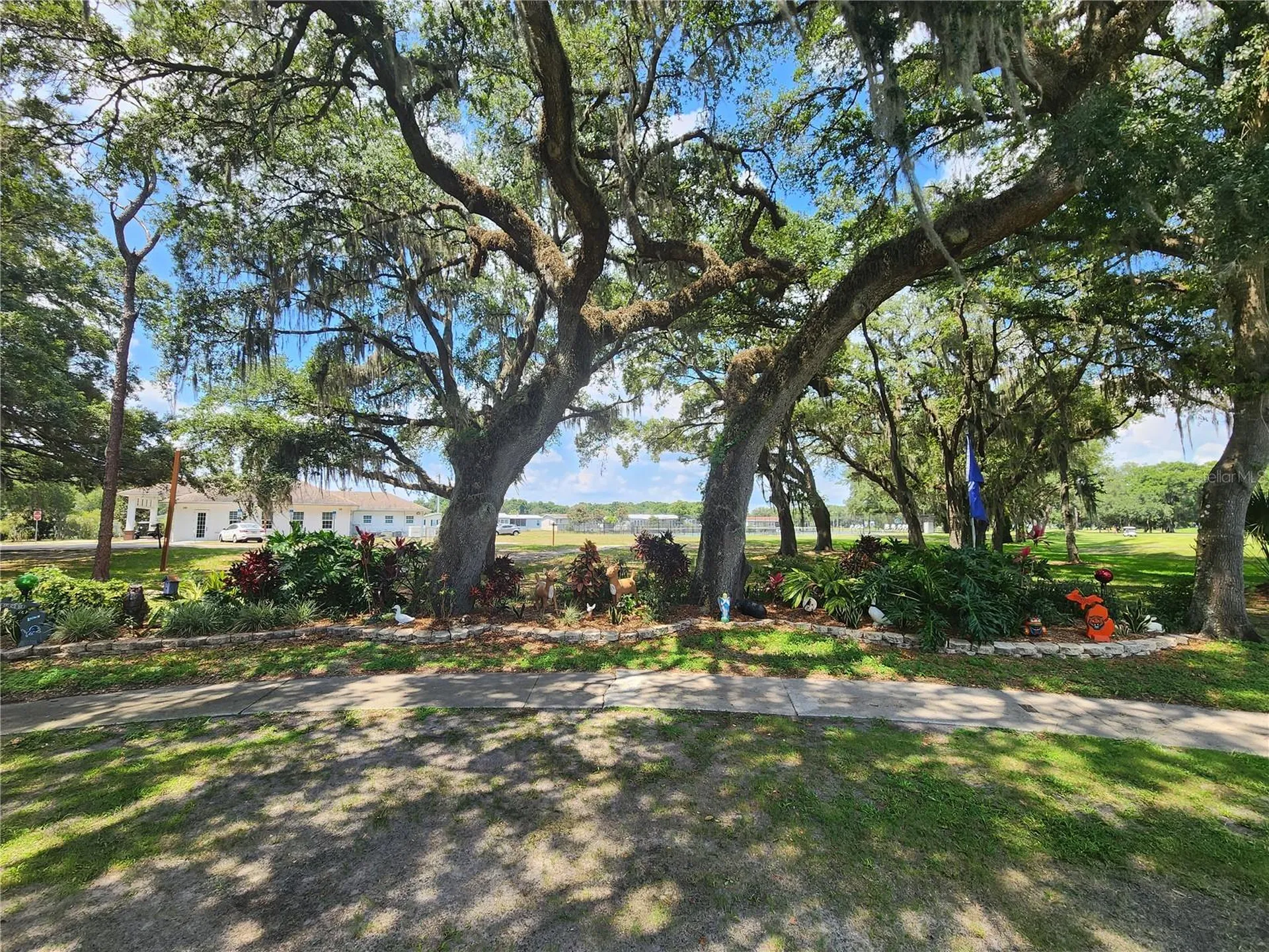 36740 Strand Drive Zephyrhills FL 33542