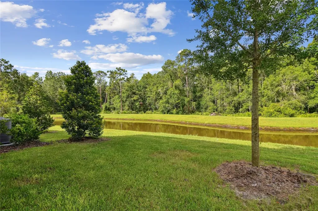 17516 Nectar Flume Drive Land O Lakes FL 34638