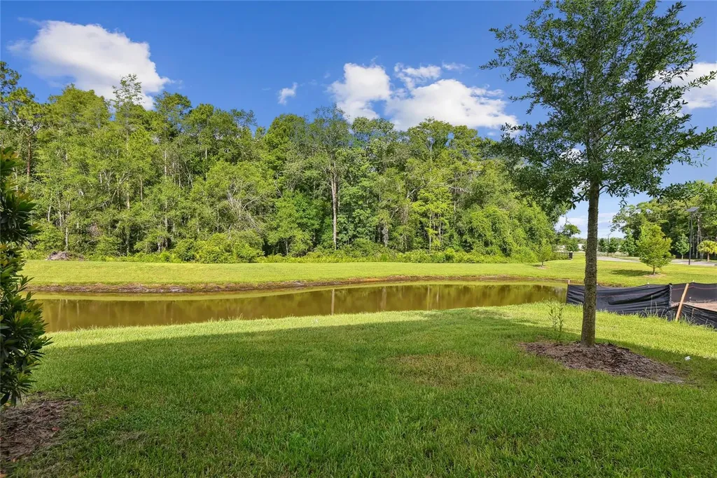 17516 Nectar Flume Drive Land O Lakes FL 34638