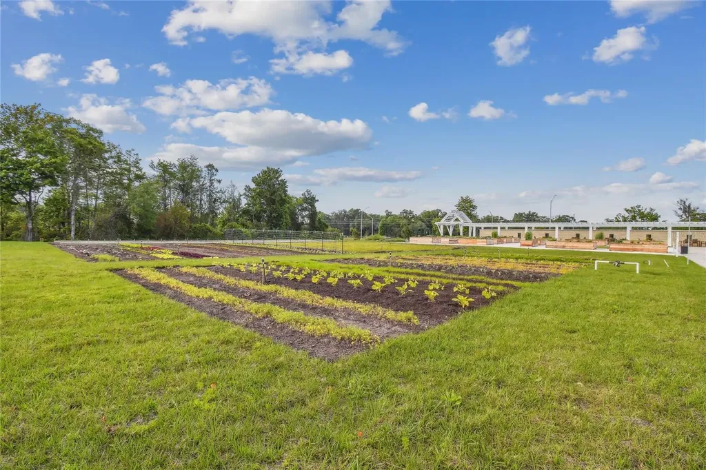 17516 Nectar Flume Drive Land O Lakes FL 34638