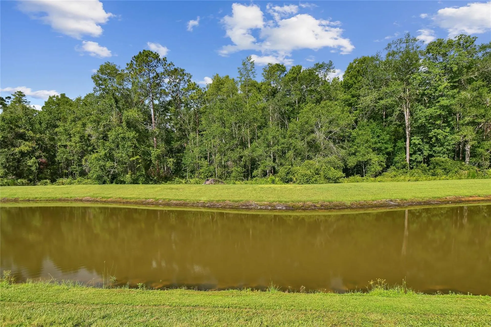 17516 Nectar Flume Drive Land O Lakes FL 34638