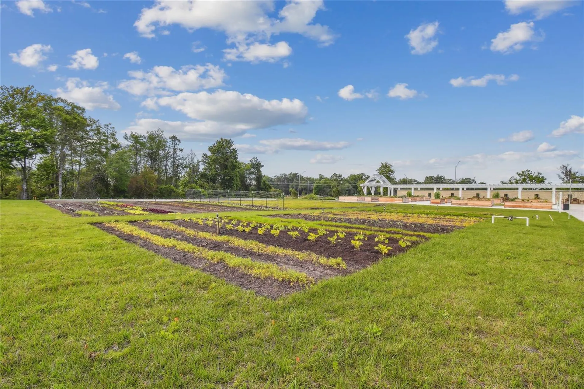 17516 Nectar Flume Drive Land O Lakes FL 34638