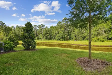 17516 Nectar Flume Drive Land O Lakes FL 34638