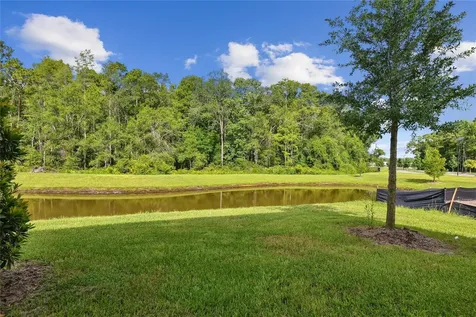 17516 Nectar Flume Drive Land O Lakes FL 34638