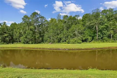 17516 Nectar Flume Drive Land O Lakes FL 34638