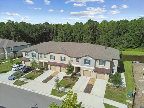17516 Nectar Flume Drive Land O Lakes FL 34638