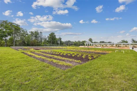 17516 Nectar Flume Drive Land O Lakes FL 34638