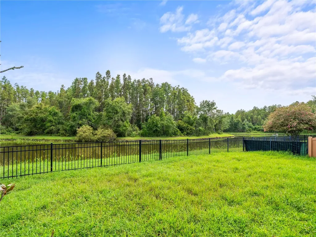 30638 Nickerson Loop Wesley Chapel FL 33543