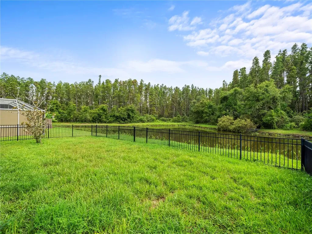 30638 Nickerson Loop Wesley Chapel FL 33543
