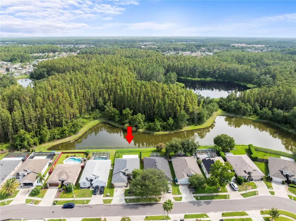 30638 Nickerson Loop Wesley Chapel FL 33543