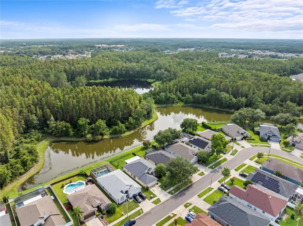 30638 Nickerson Loop Wesley Chapel FL 33543