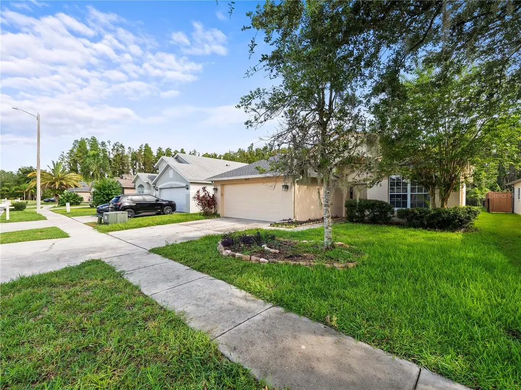 30638 Nickerson Loop Wesley Chapel FL 33543