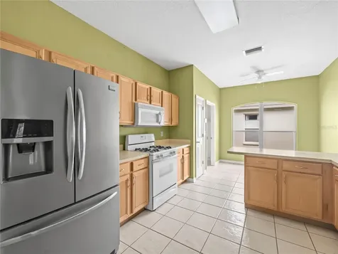 30638 Nickerson Loop Wesley Chapel FL 33543
