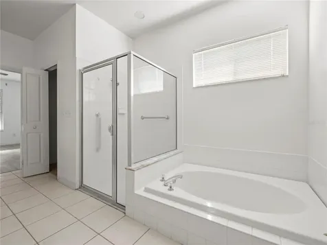 30638 Nickerson Loop Wesley Chapel FL 33543
