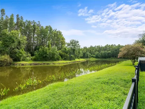 30638 Nickerson Loop Wesley Chapel FL 33543