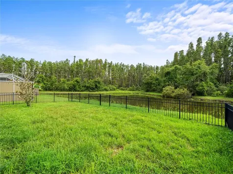 30638 Nickerson Loop Wesley Chapel FL 33543