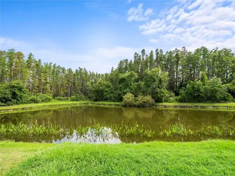 30638 Nickerson Loop Wesley Chapel FL 33543