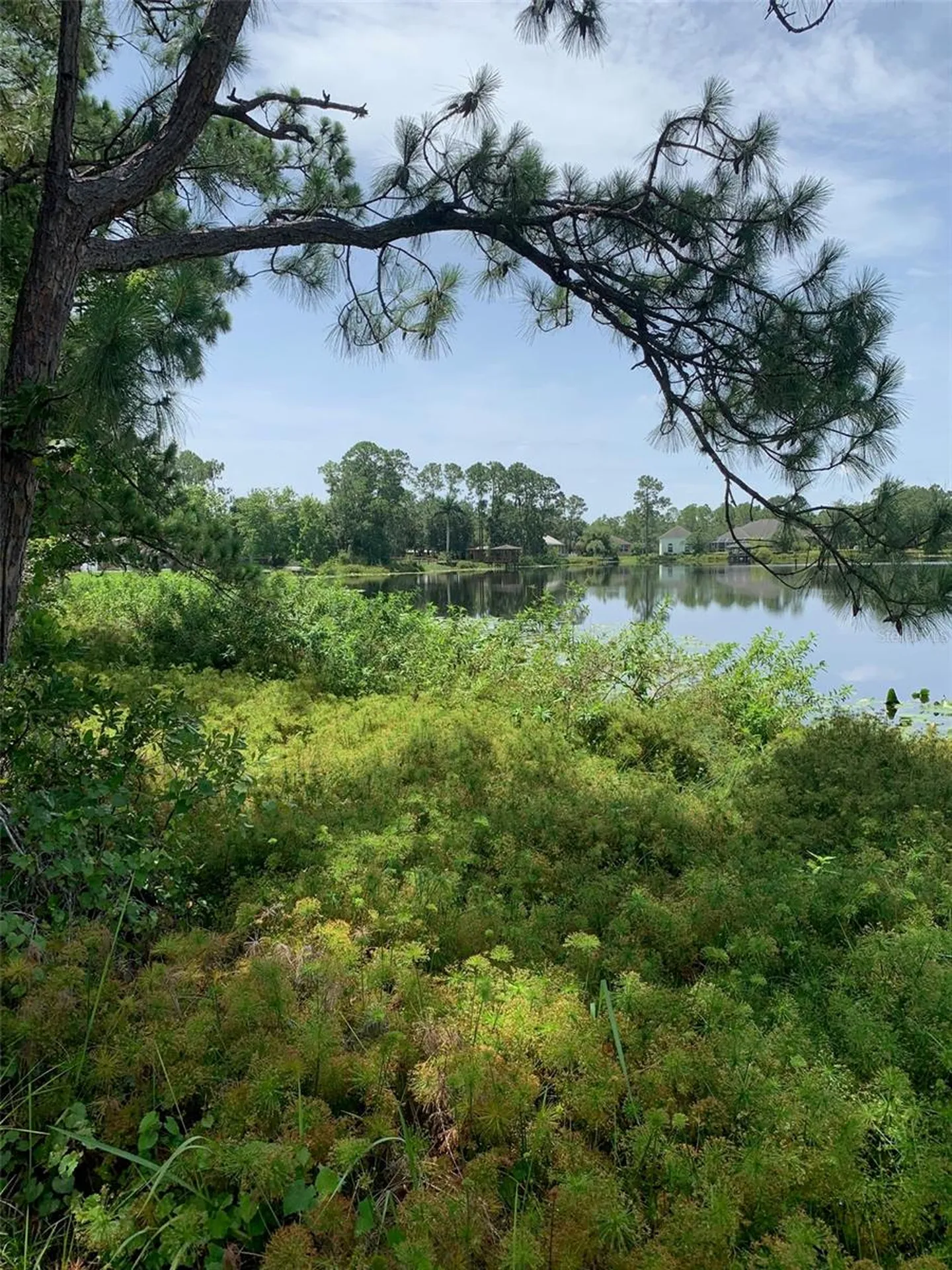 1709 Stream Avenue Sebring FL 33875