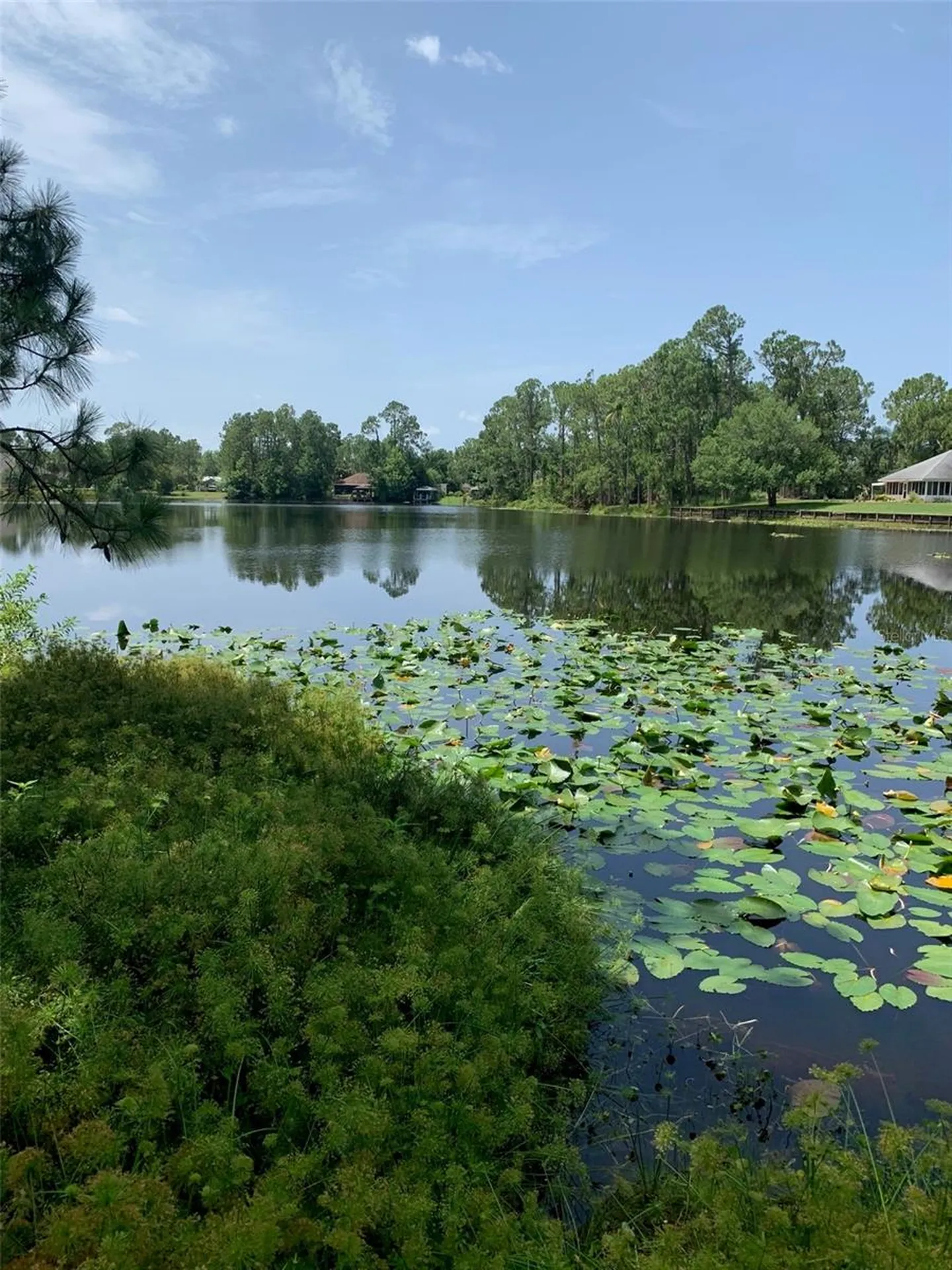 1709 Stream Avenue Sebring FL 33875