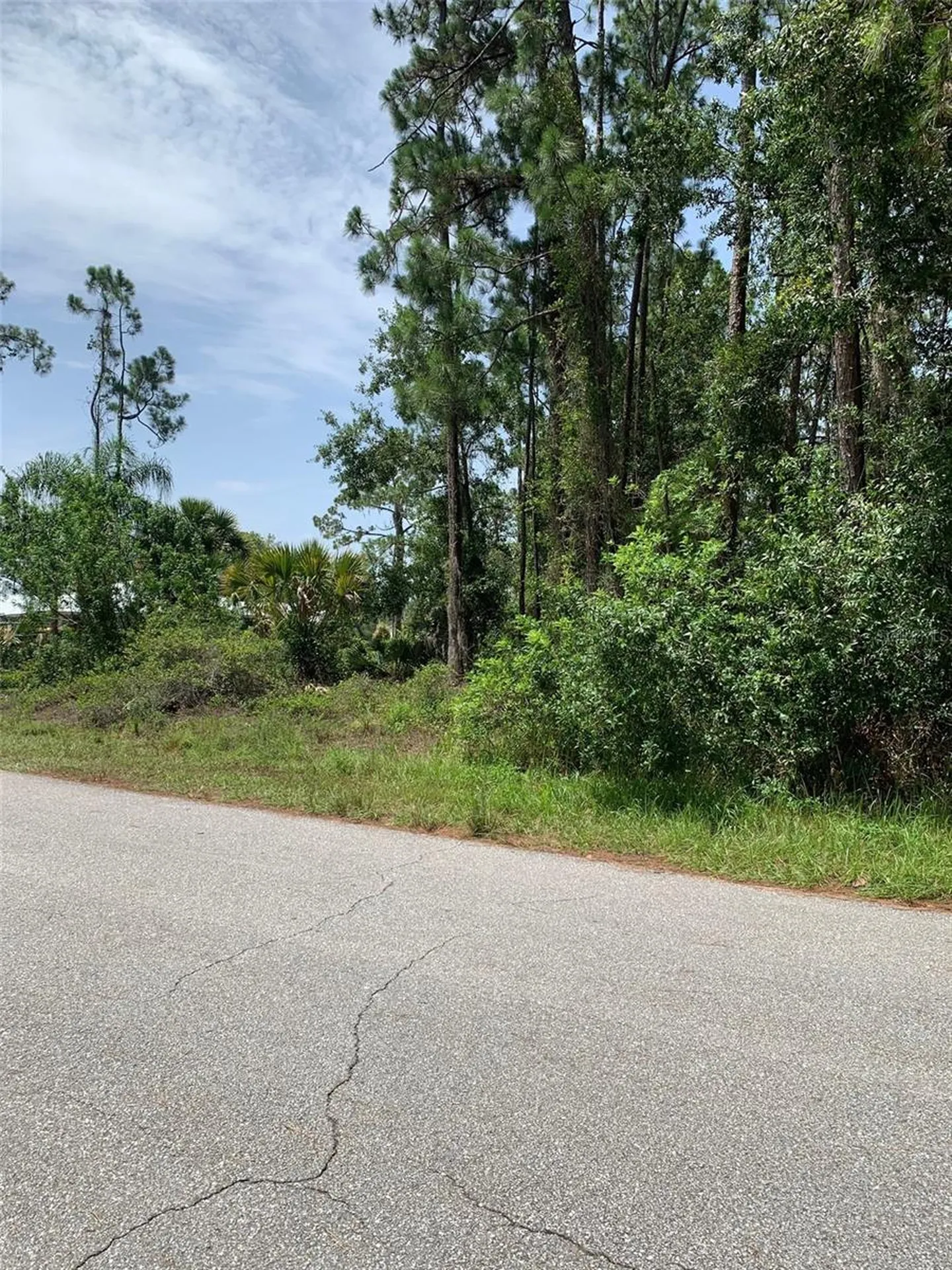 1709 Stream Avenue Sebring FL 33875