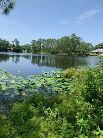 1709 Stream Avenue Sebring FL 33875