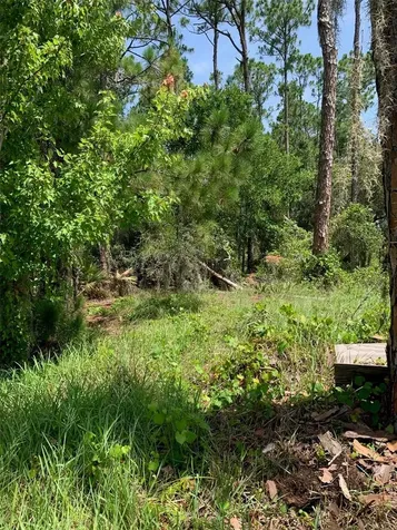 1709 Stream Avenue Sebring FL 33875