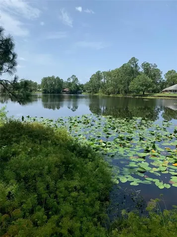1709 Stream Avenue Sebring FL 33875