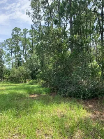 1709 Stream Avenue Sebring FL 33875
