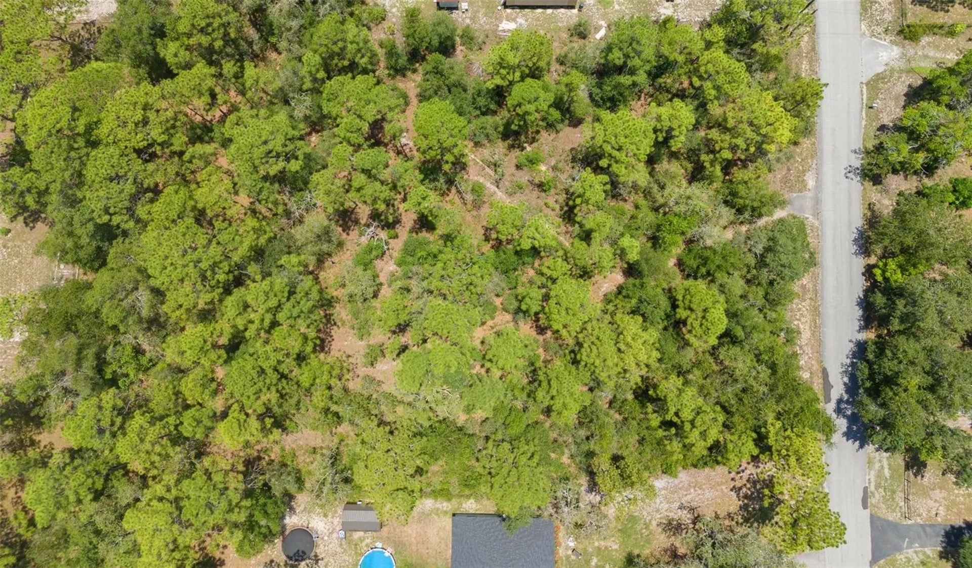 Greensboro Street Spring Hill FL 34610