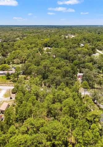 Greensboro Street Spring Hill FL 34610