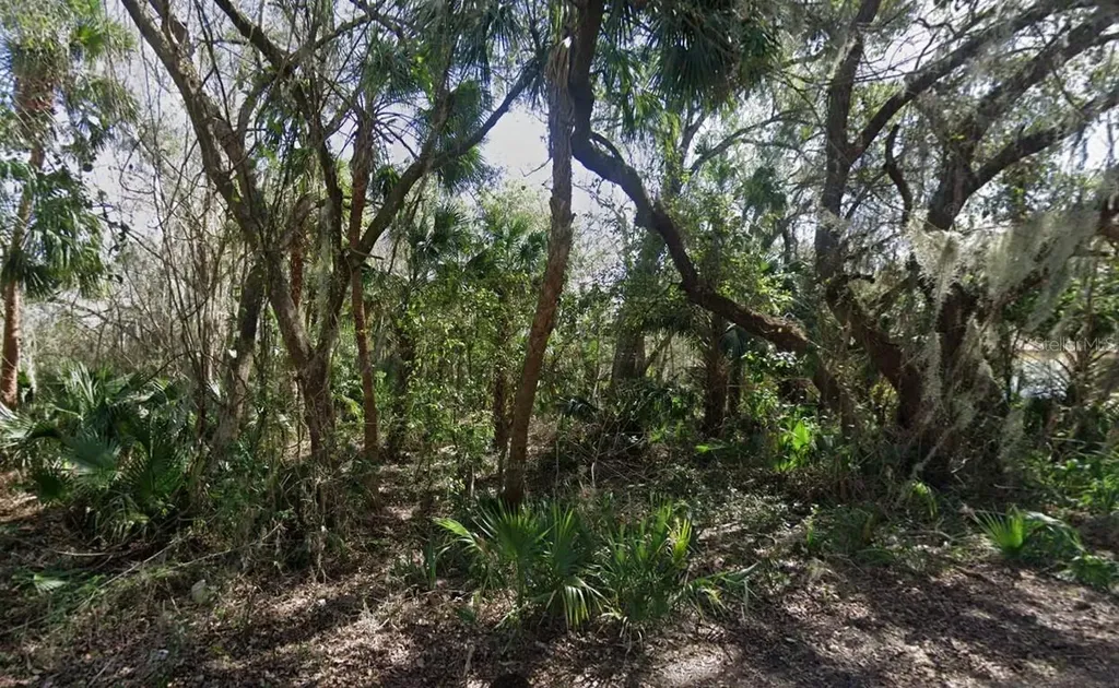 Nancy Street Oak Hill FL 32759