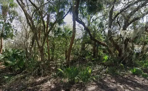 Nancy Street Oak Hill FL 32759