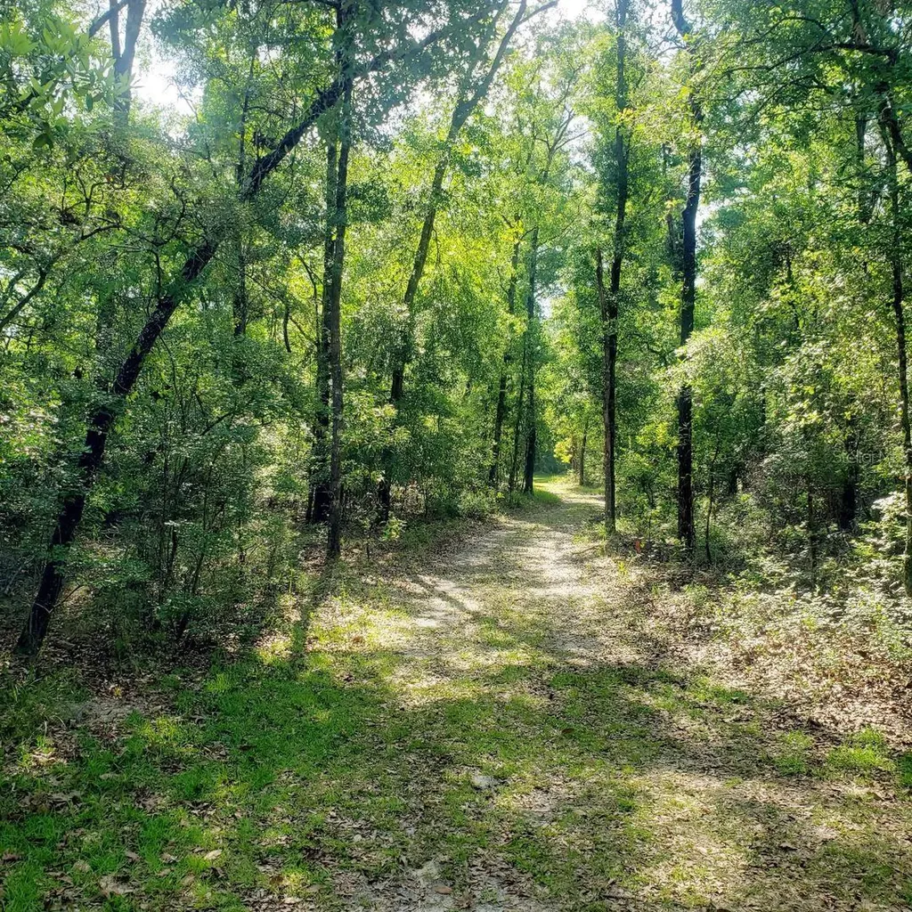 28063 31st Road Branford FL 32008