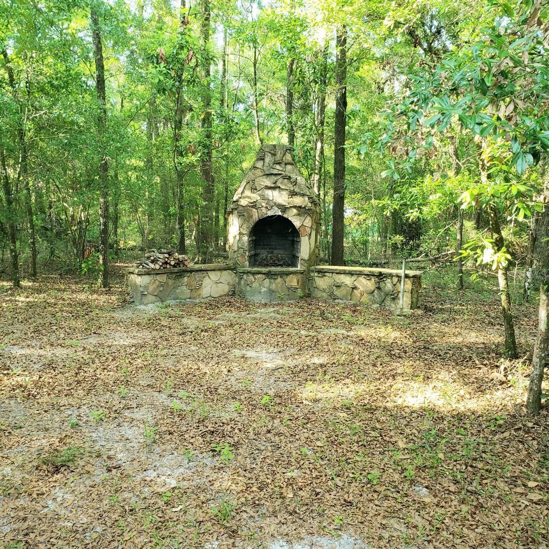 28063 31st Road Branford FL 32008