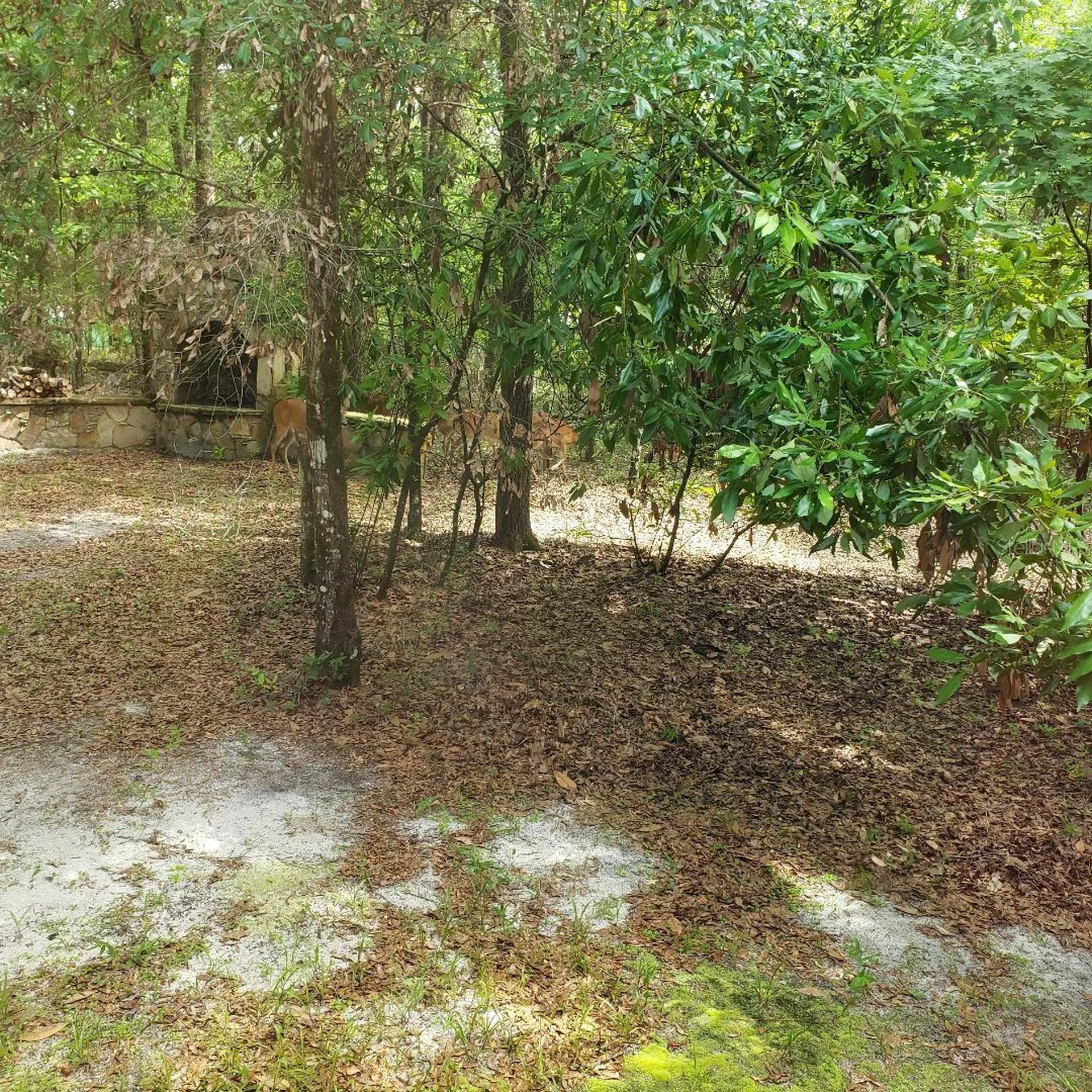 28063 31st Road Branford FL 32008