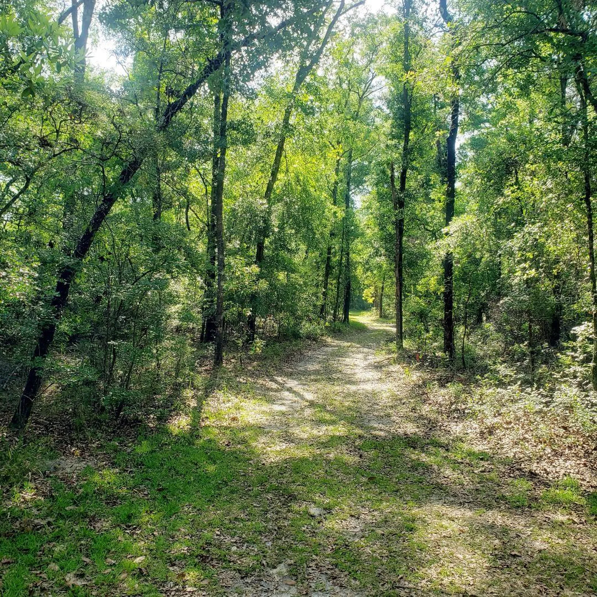 28063 31st Road Branford FL 32008