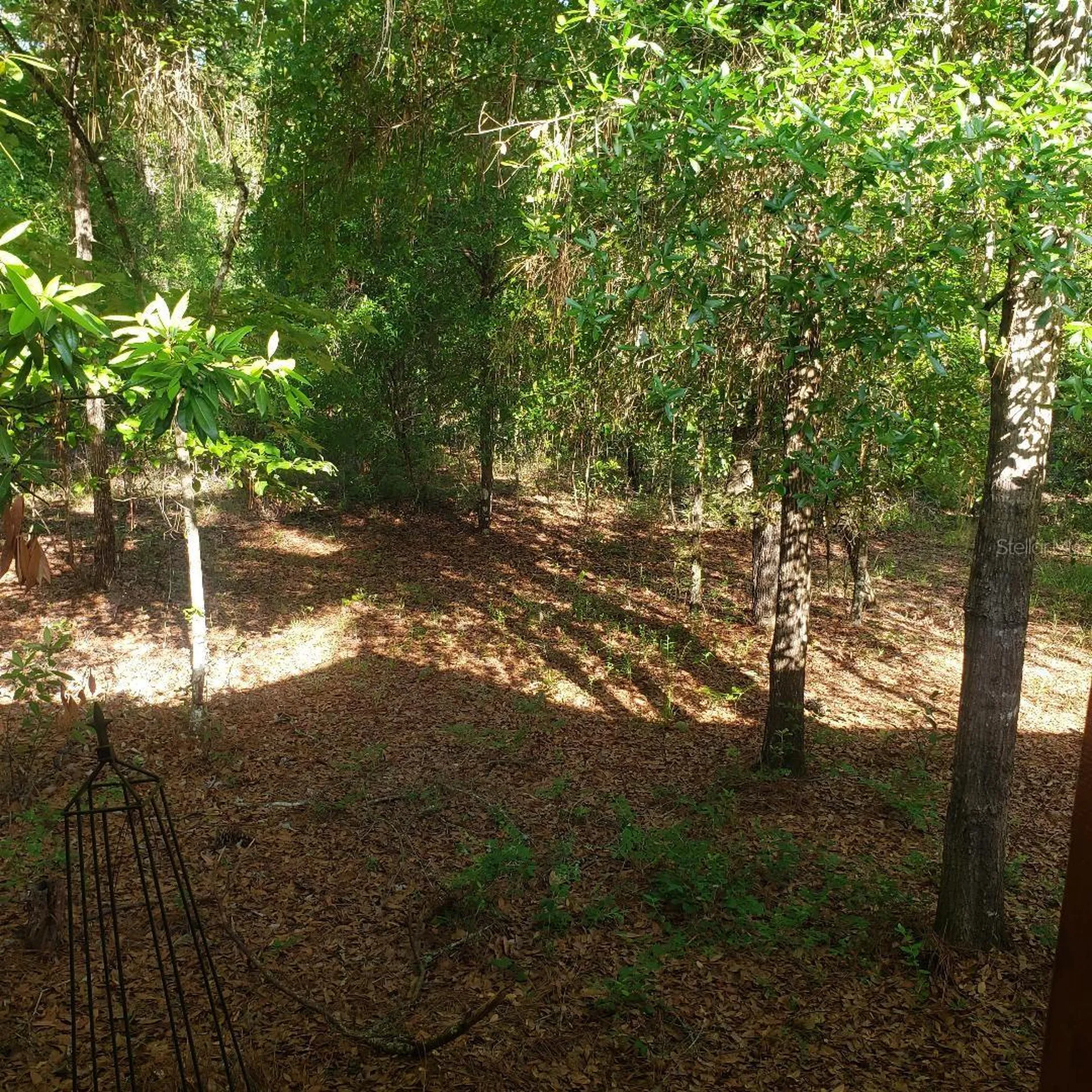 28063 31st Road Branford FL 32008