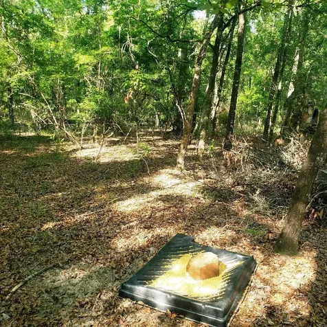 28063 31st Road Branford FL 32008