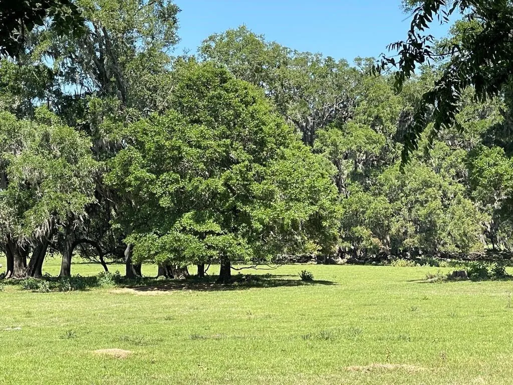 19450 Block NW 94th Avenue Alachua FL 32615