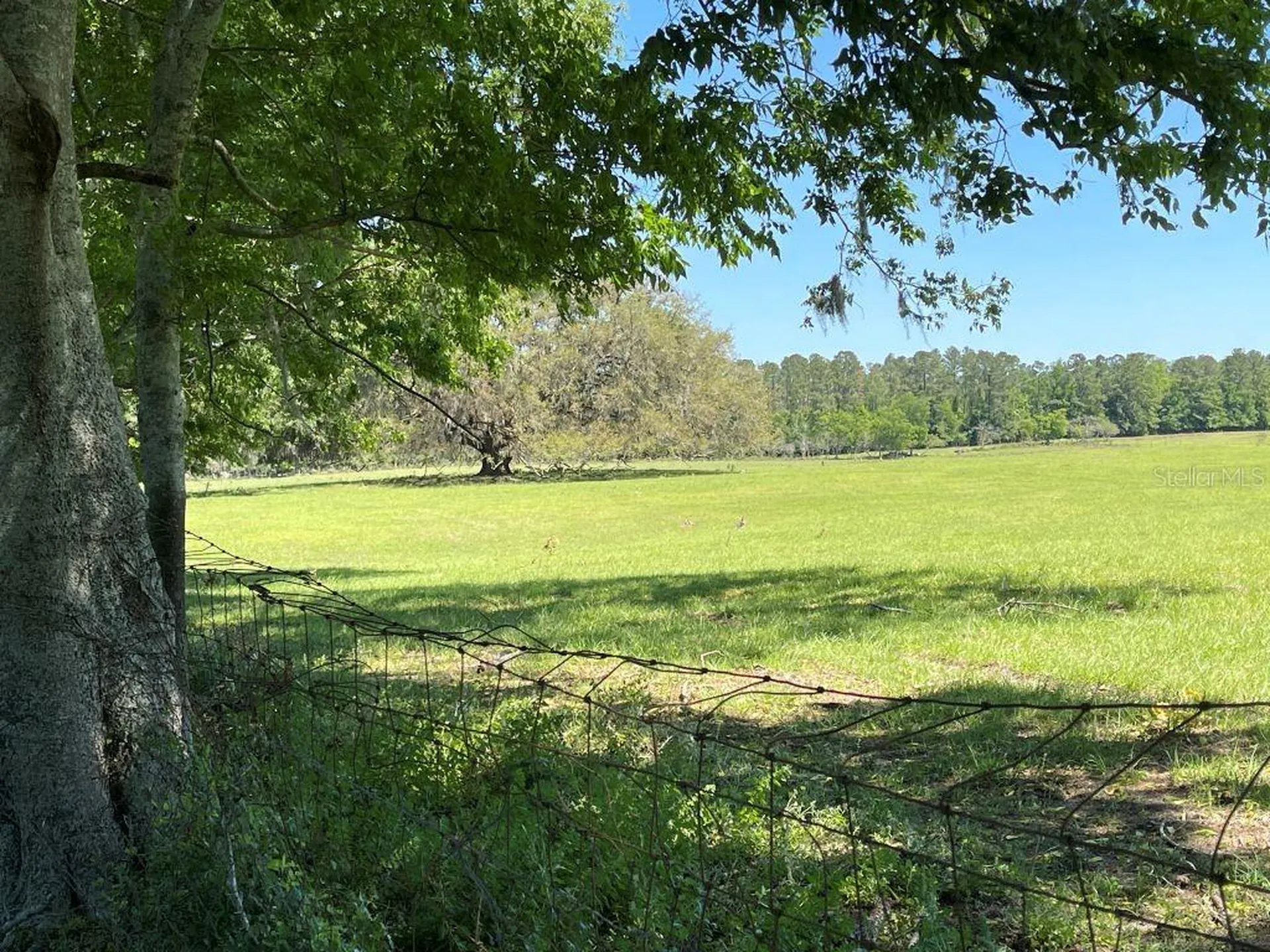 19450 Block NW 94th Avenue Alachua FL 32615