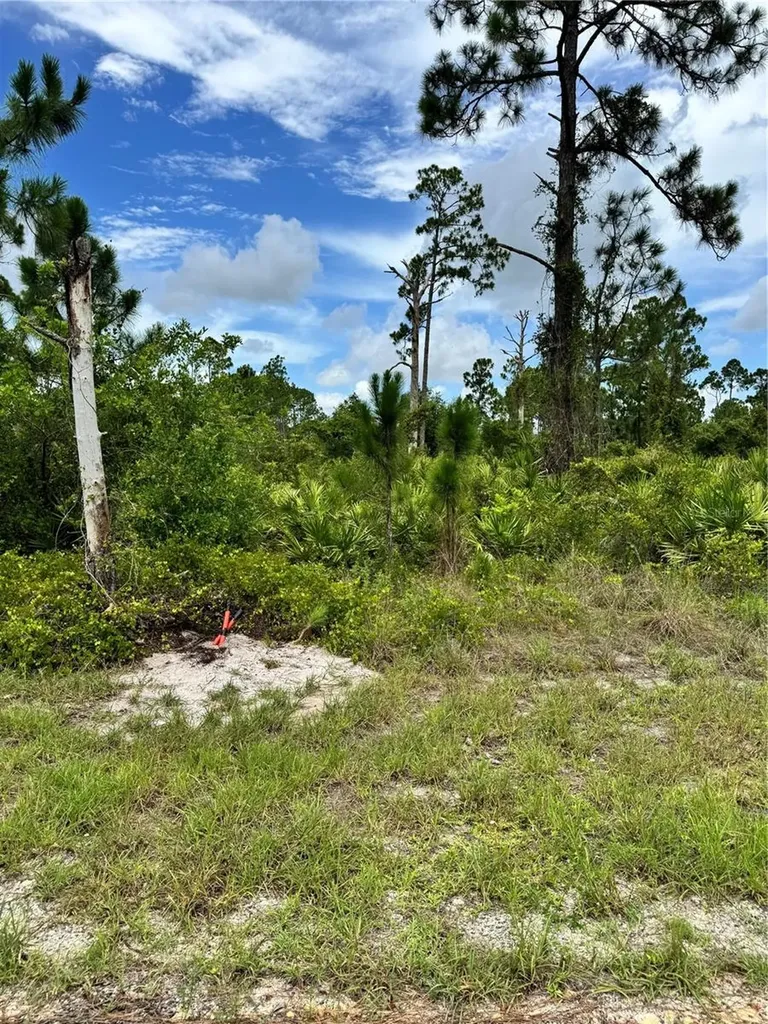 728 Vespucci Avenue S Lehigh Acres FL 33974