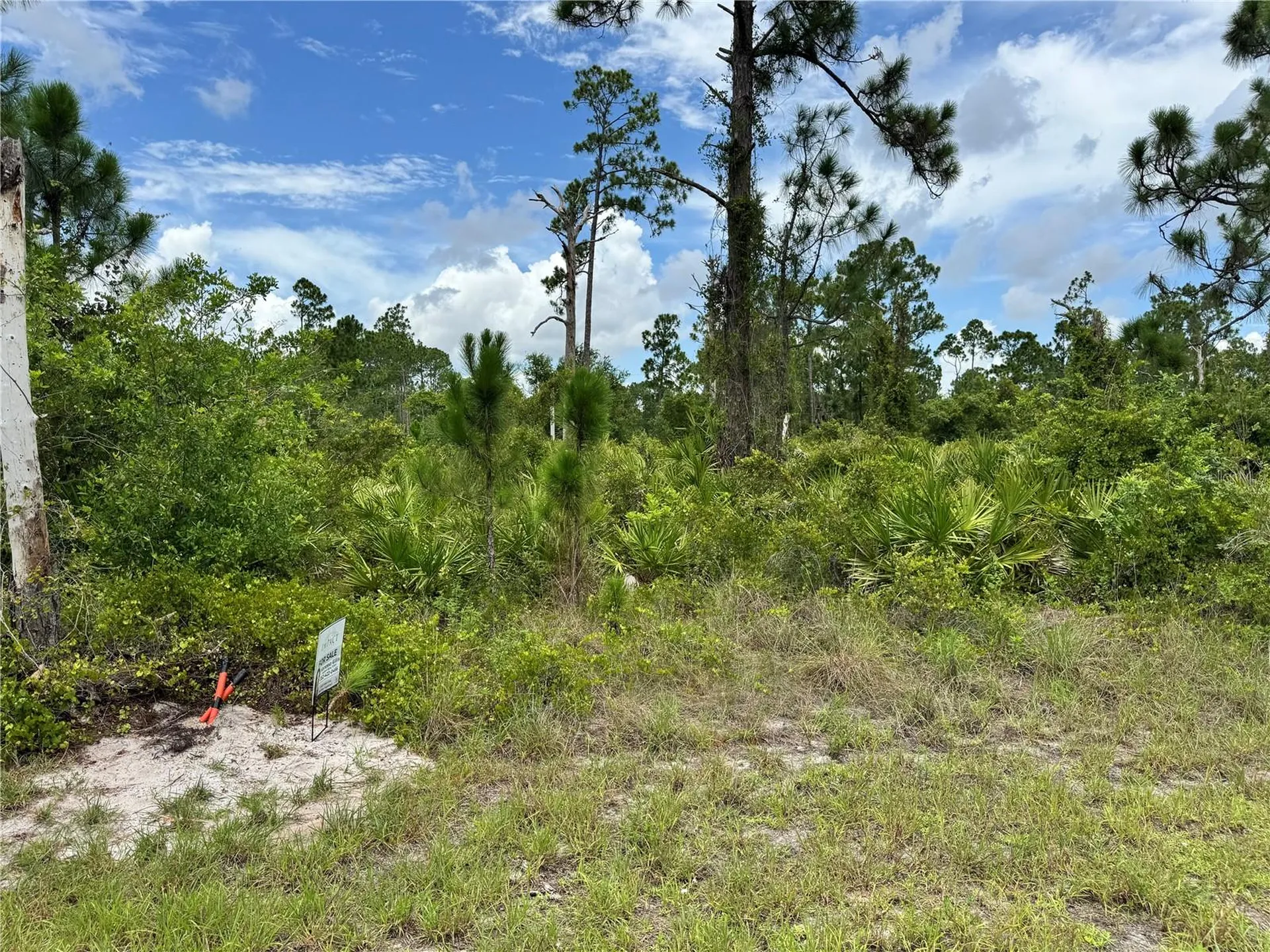 728 Vespucci Avenue S Lehigh Acres FL 33974