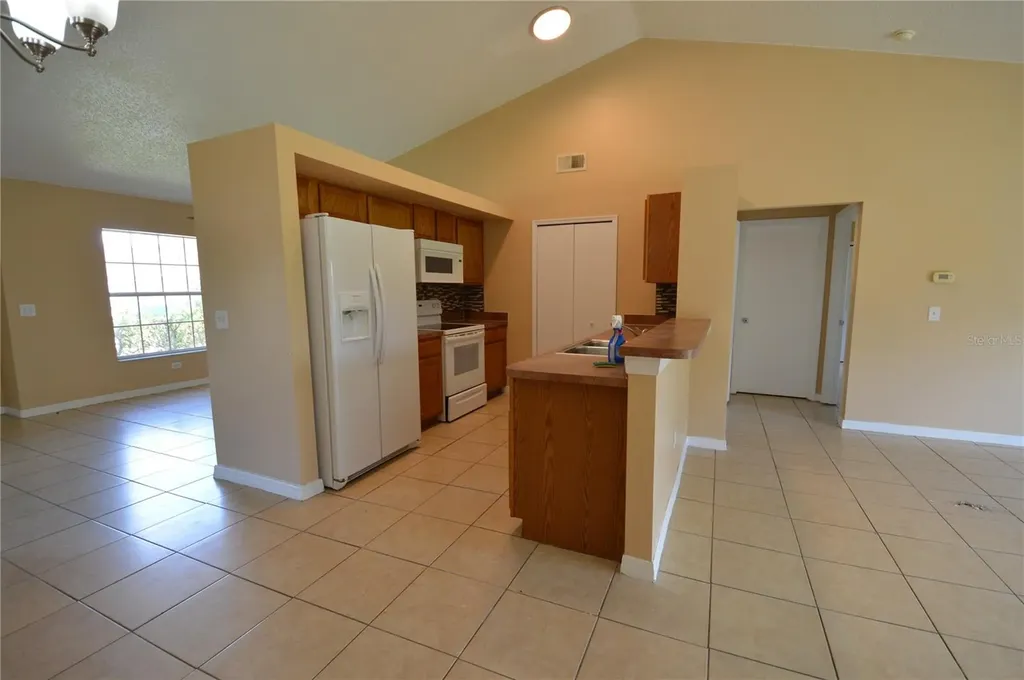 1207 Atlantic Court Kissimmee FL 34759