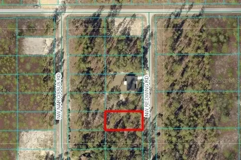 Tbd NW Redwing Road Dunnellon FL 34431